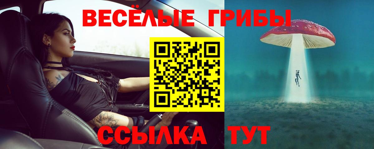 купить закладку  Псилоцибиновые грибы ЛСД  Вход с VPN  Алатырь 