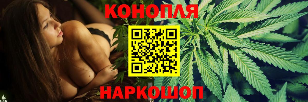 Алатырь  Канабис VHQ  Вход с VPN  Бошки марихуана семена  Марихуана THC 21%  Бошки Шишки сатива 
